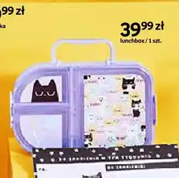 Empik Lunchbox Purrrfect School oferta