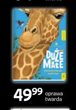 Empik Książka Duże i małe Wilga oferta