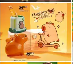 Empik Organizer na długopisy Cappy Classes oferta