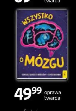 Empik Książka Wszystko o mózgu Wilga oferta