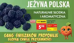 Biedronka Jeżyna polska oferta