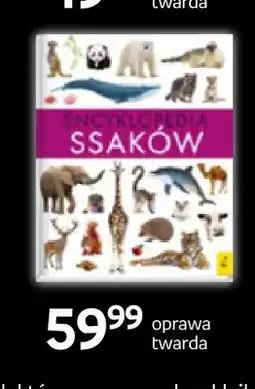 Empik Książka Encyklopedia ssaków Wilga oferta