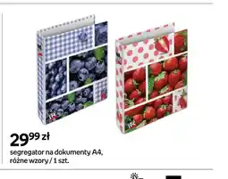 Empik Segregator na dokumenty A4 oferta