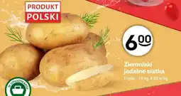 Żabka Ziemniaki Polski oferta