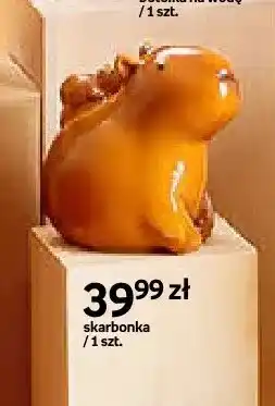 Empik Skarbonka Cappy Classes oferta