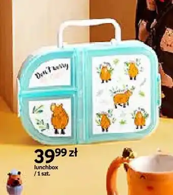 Empik Lunchbox Cappy Classes oferta