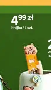 Empik Linijka Cappy Classes oferta