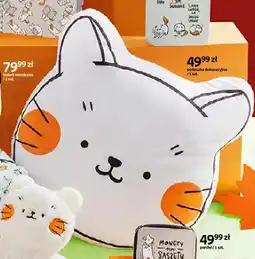 Empik Poduszka dekoracyjna Kotter Moments oferta