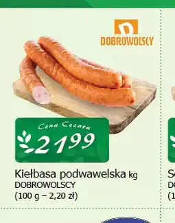 Cezar Delikatesy Kiełbasa podwawelska Dobrowolscy oferta