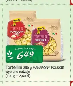 Cezar Delikatesy Tortellini Novelle oferta