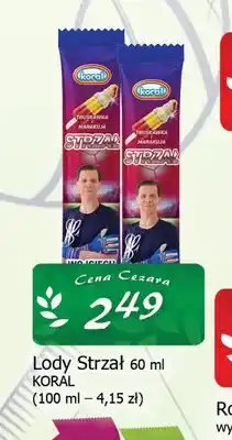 Cezar Delikatesy Lody Strzał oferta