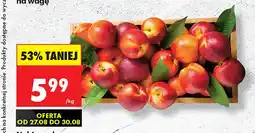 Biedronka Nektarynki oferta