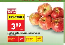 Biedronka Jabłka polskie wczesne oferta