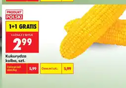 Biedronka Kukurydza kolba oferta