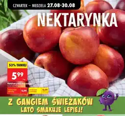 Biedronka Nektarynki oferta