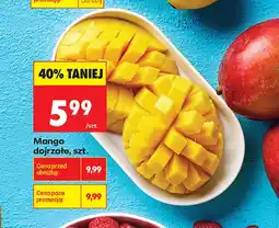 Biedronka Mango dojrzałe oferta