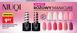 Biedronka Lakier hybrydowy Niuqi Secret Crush oferta