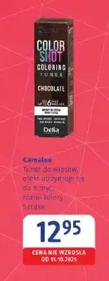 dm drogerie markt Toner do włosów Cameleo oferta