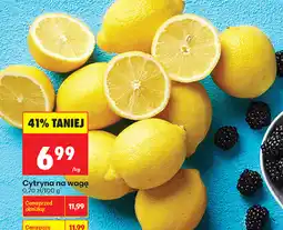 Biedronka Cytryna na wagę oferta