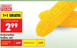 Biedronka Kukurydza kolba, szt oferta