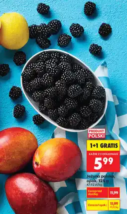 Biedronka Jeżyna polska, opak oferta