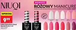 Biedronka Lakier hybrydowy Niuqi Secret Crush oferta