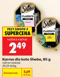 Biedronka Karma dla kota Sheba oferta
