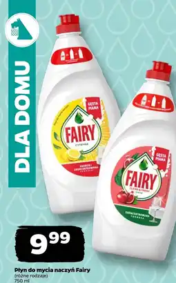 Netto Płyn do naczyń Fairy oferta
