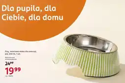 Rossmann Eloy, metalowa miska dla zwierząt oferta