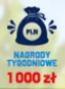 Groszek Nagrody Tygodniowe oferta