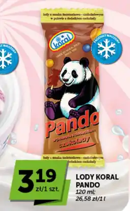 Groszek Lody Koral Pando oferta