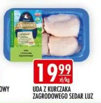 Uda z Kurczaka Zagrodowego Sedar Luz