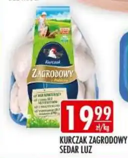 Sklepy Doroty Kurczak Zagrodowy Sedar Luz oferta