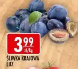 Sklepy Doroty Śliwka Krajobowa Luz oferta