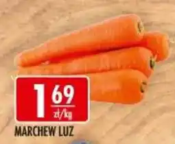 Sklepy Doroty Marchew Luz oferta