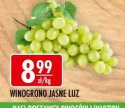 Sklepy Doroty Winogrono Jasne Luz oferta