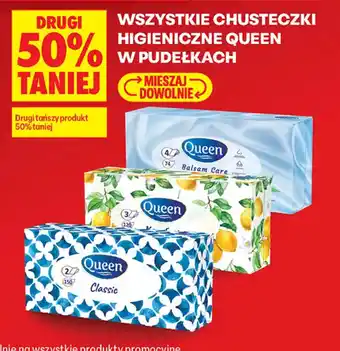 Biedronka Chusteczki higieniczne Queen oferta