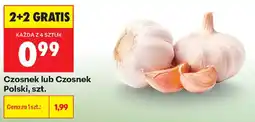 Biedronka Czosnek lub Czosnek Polski oferta