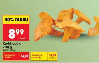 Biedronka Kurki oferta