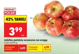 Biedronka Jabłko polskie wczesne oferta