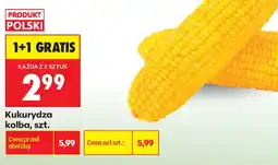 Biedronka Kukurydza kolba oferta