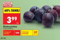 Biedronka Śliwka polska oferta