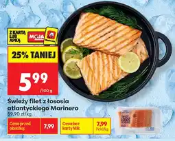 Biedronka Świeży filet z łososia atlantyckiego Marinero oferta