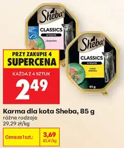 Biedronka Karma dla kota Sheba oferta