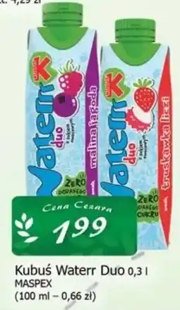Cezar Delikatesy Kubuś Waterr Duo oferta
