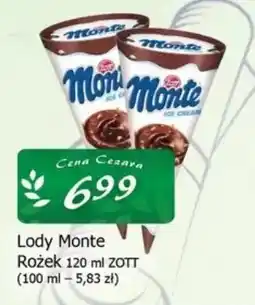 Cezar Delikatesy Lody Monte oferta