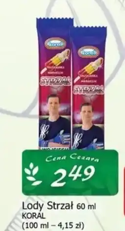 Cezar Delikatesy Lody Strzał KORAL oferta