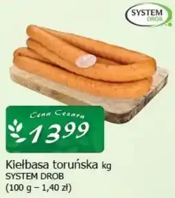 Cezar Delikatesy Kielbasa toruńska oferta