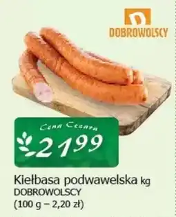 Cezar Delikatesy Kiełbasa podwawelska DOBROWOLSCY oferta