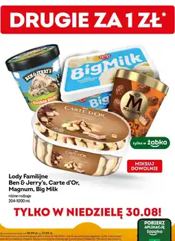 Żabka Lody Familijne Ben & Jerry's, Carte d'Or, Magnum, Big Milk oferta